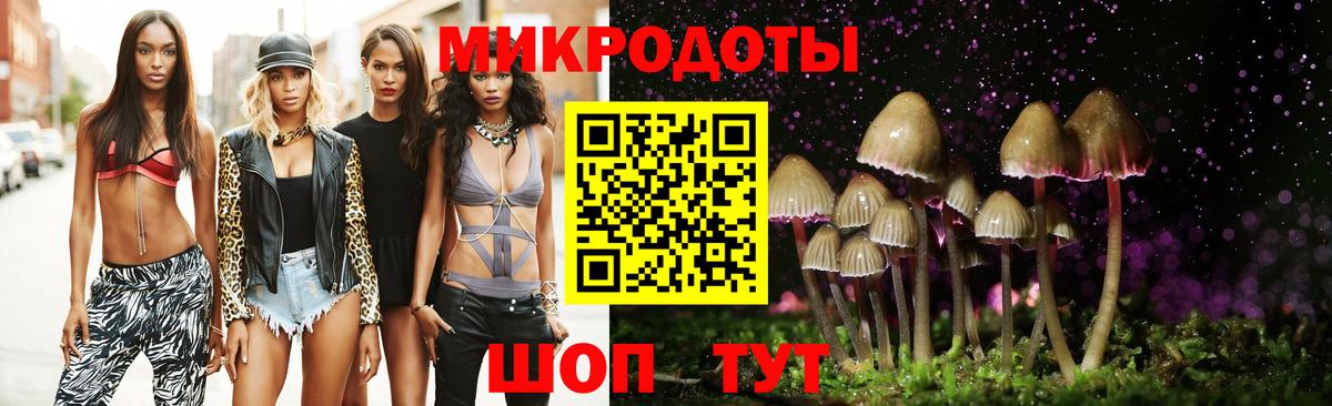 Псилоцибиновые грибы Cubensis  Вход с VPN  Тамбов 